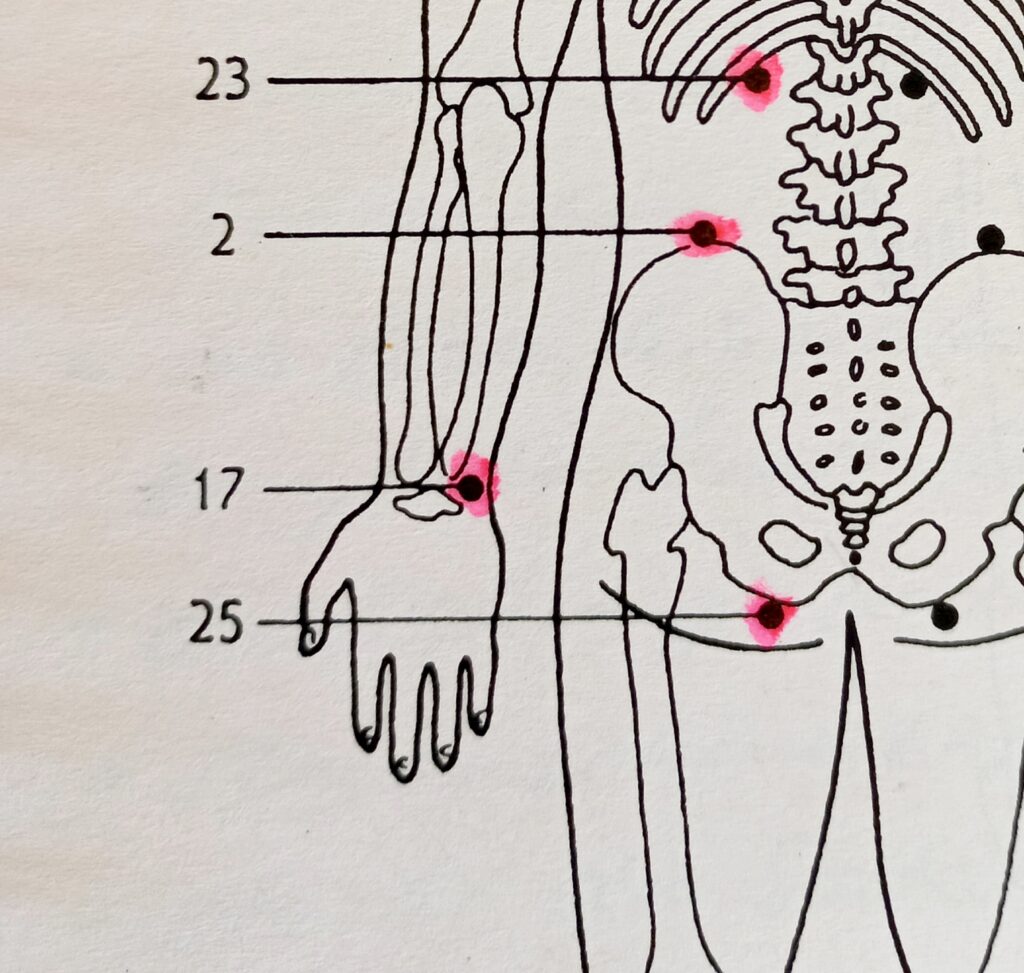 Jin Shin Jyutsu 1000046931