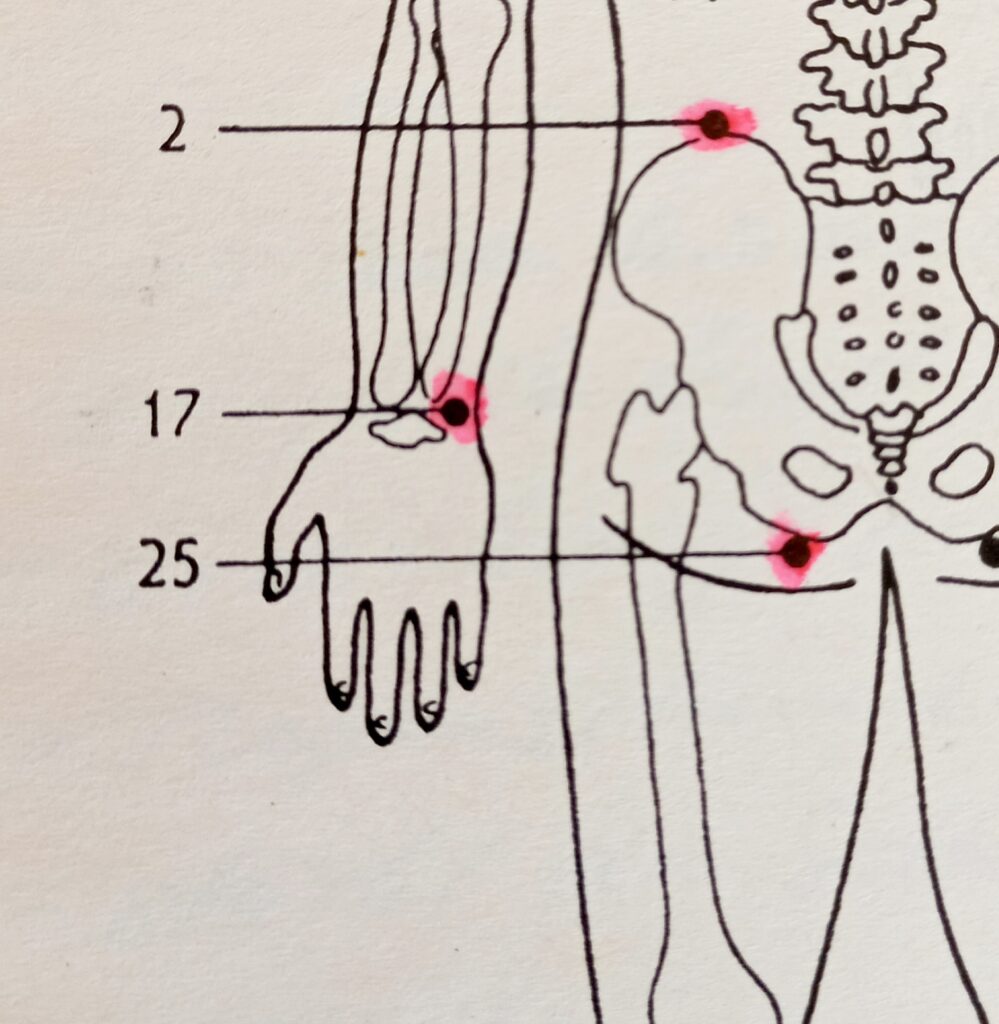 Jin Shin Jyutsu 1000046933